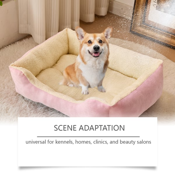 Kennel Odor Eliminator (Non-Enzymatic, Apricot & Fresh Scents for Tough Pet Odors)