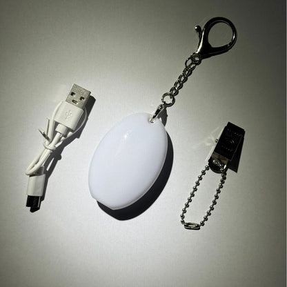 Handbag LED Light